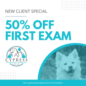 Promotional image for Cypress Veterinary Hospital offering "50% off first exam" for new clients.